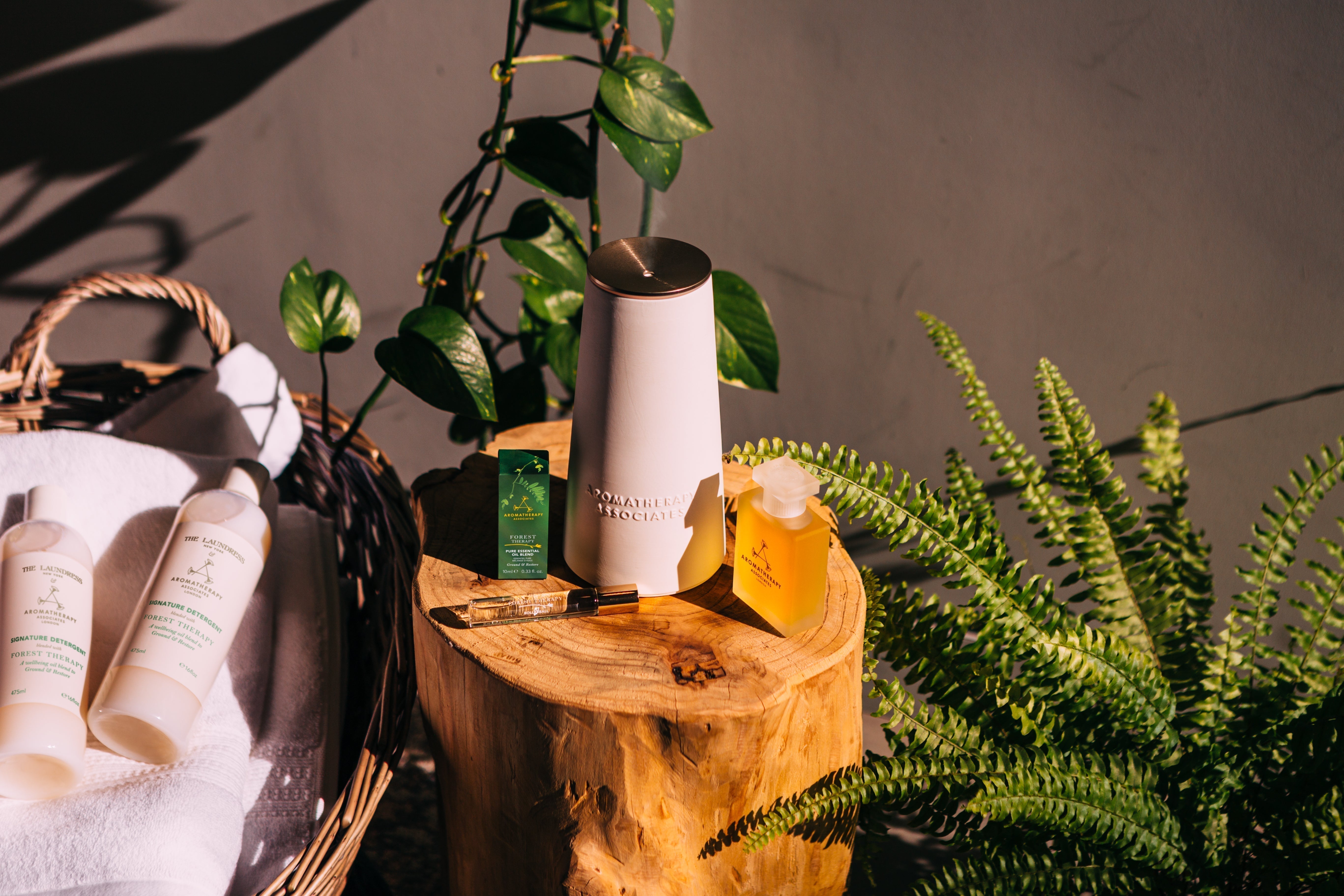 Forest Therapy and The Atomiser | Aromatherapy Associates