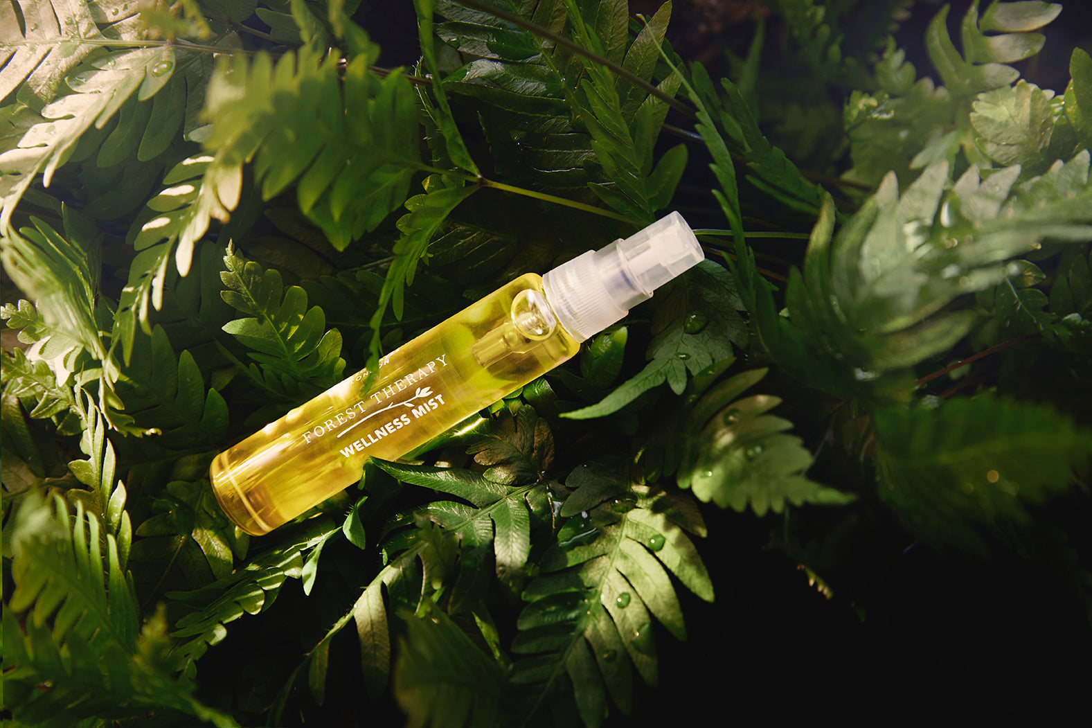 Why Do Plants Produce Essential Oils?