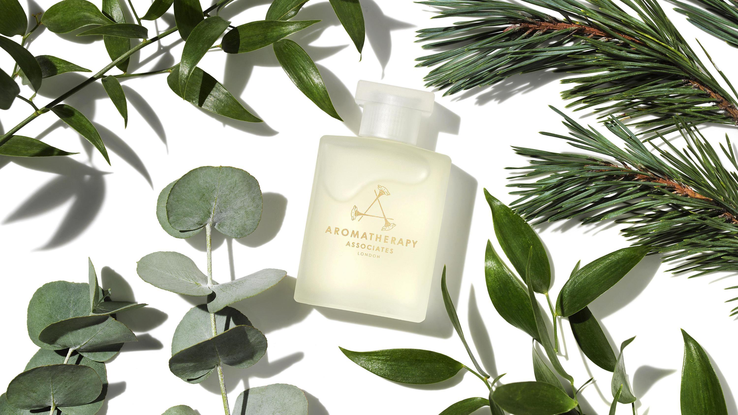 What is Tea Tree Essential Oil