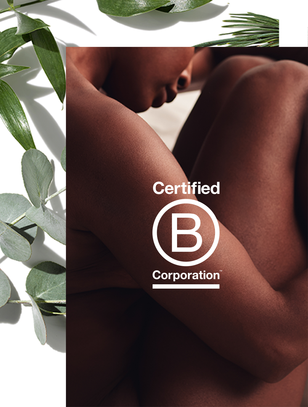 Celebrating B Corp Month