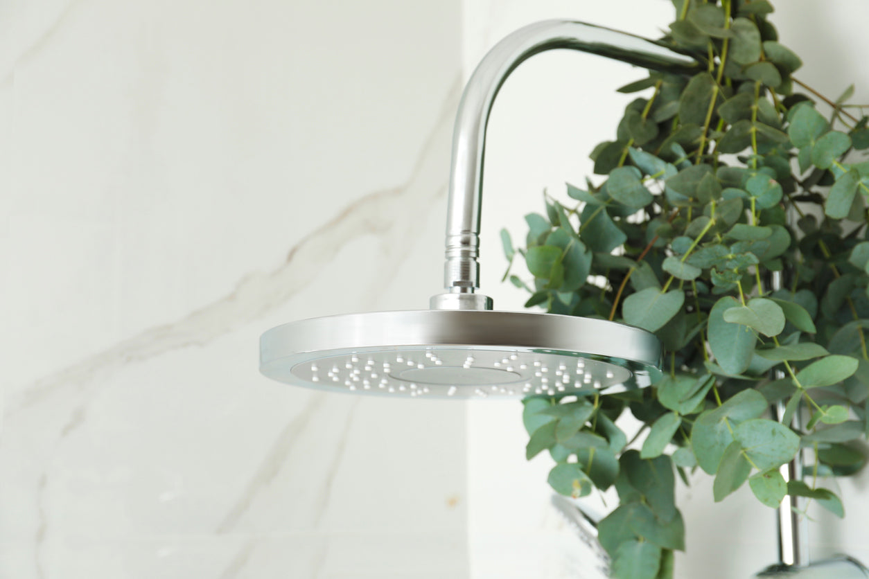 Shower head with eucalyptus