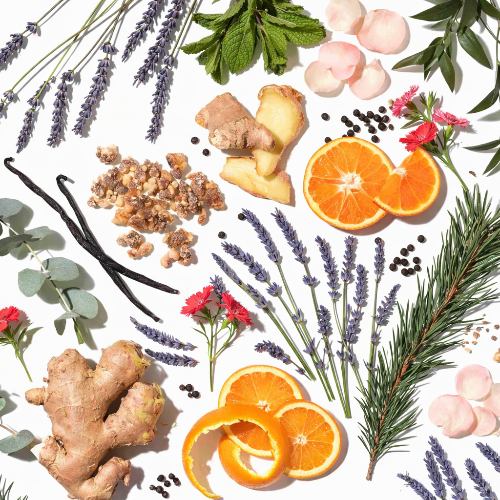 Spices, fruits, and herbs arranged on a white background