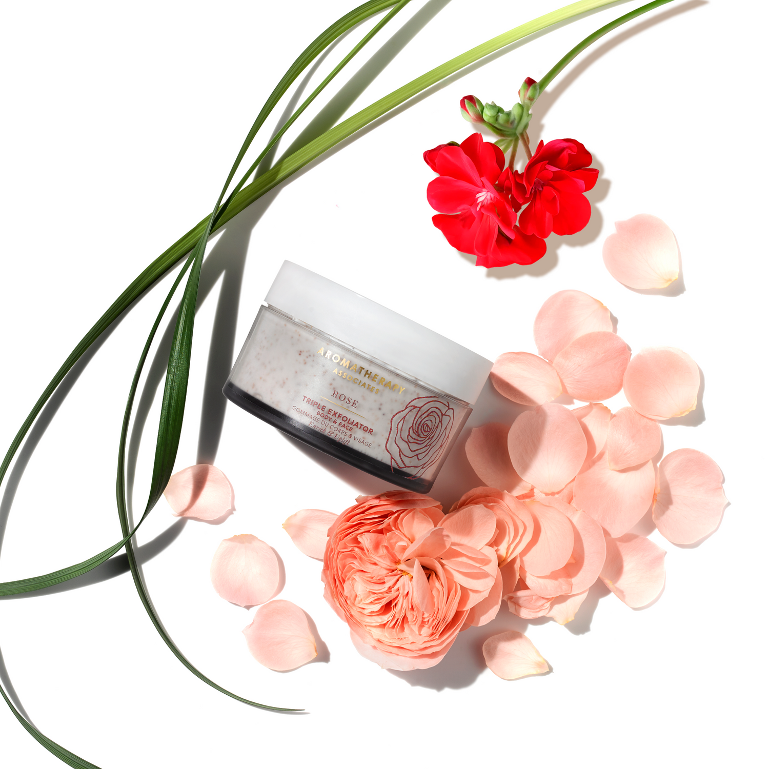 Rose Triple Exfoliator Ingredients
