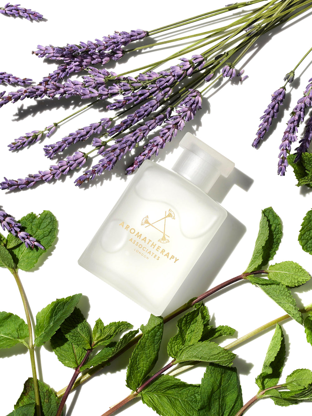 Support Lavender Bath & Shower Oil Aromatherapy Associates