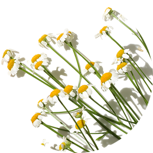 Deep Relax Candle 200g Aromatherapy Associates