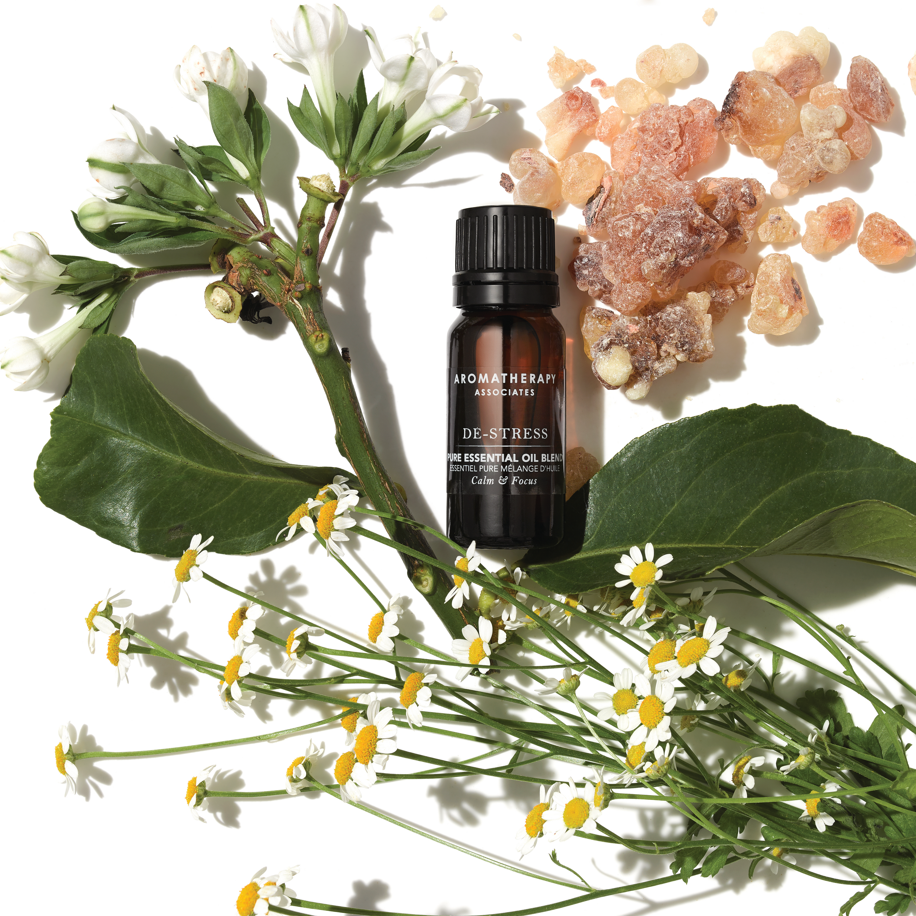 Aromatherapy best sale essential oils