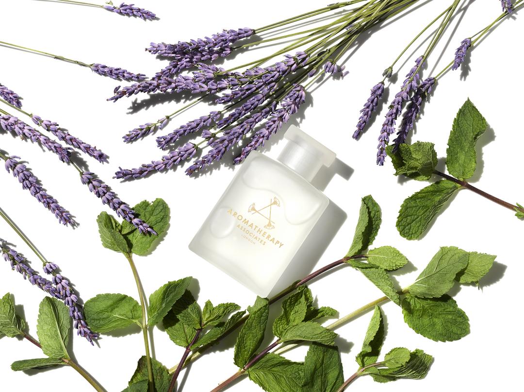lavender and tea tree oil bath Support Lavender & Peppermint Bath & Shower Oil
